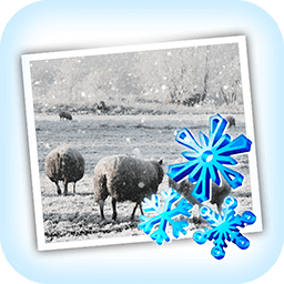 JixiPix Snow Daze 1.27 icon
