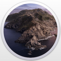 macOS Catalina 10.15.b1 (19A471t) icon