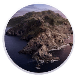 macOS Catalina 10.15 DP5 (19A526h) icon