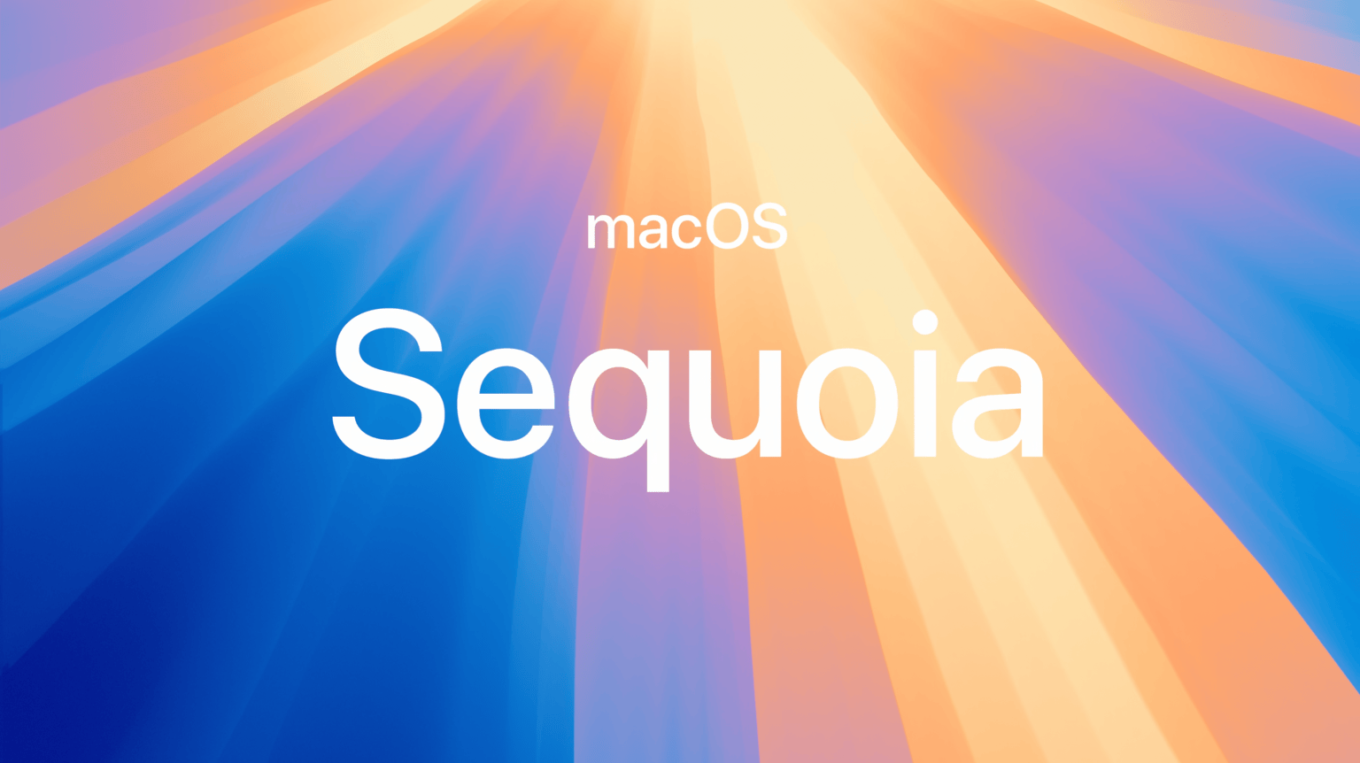 macOS Sequoia 15.3.2 (24D2082) icon