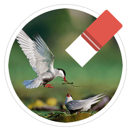 Magic Photo Eraser 1.61 – Magically Remove Any Unwanted Objects or People From Your Photos. icon