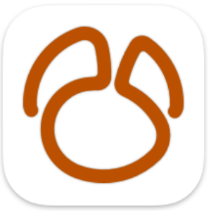 Navicat for MongoDB 17.0.9 icon