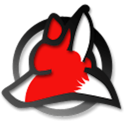 NCH FastFox 3.00 icon