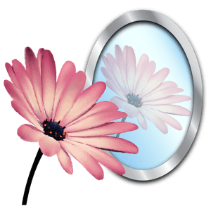PhotoReflector 1.1.0 icon