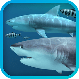 Sharks 3D 1.3.0 – 3D live shark wallpaper. icon