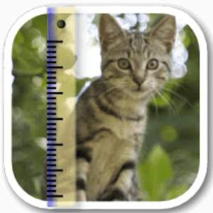 SizeMyPics 1.8.1 icon