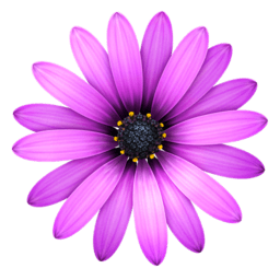 TextMate 2.0.23 icon