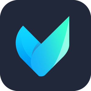 Vidmore Video Converter 2.3.60 icon