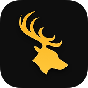 Widgetter 1.16.1W icon