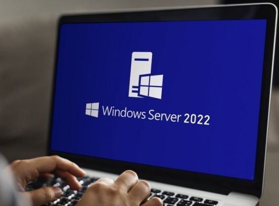Windows Server 2022 LTSC 21H2 Build 20348.1607 x64 English March 2023 MSDN icon
