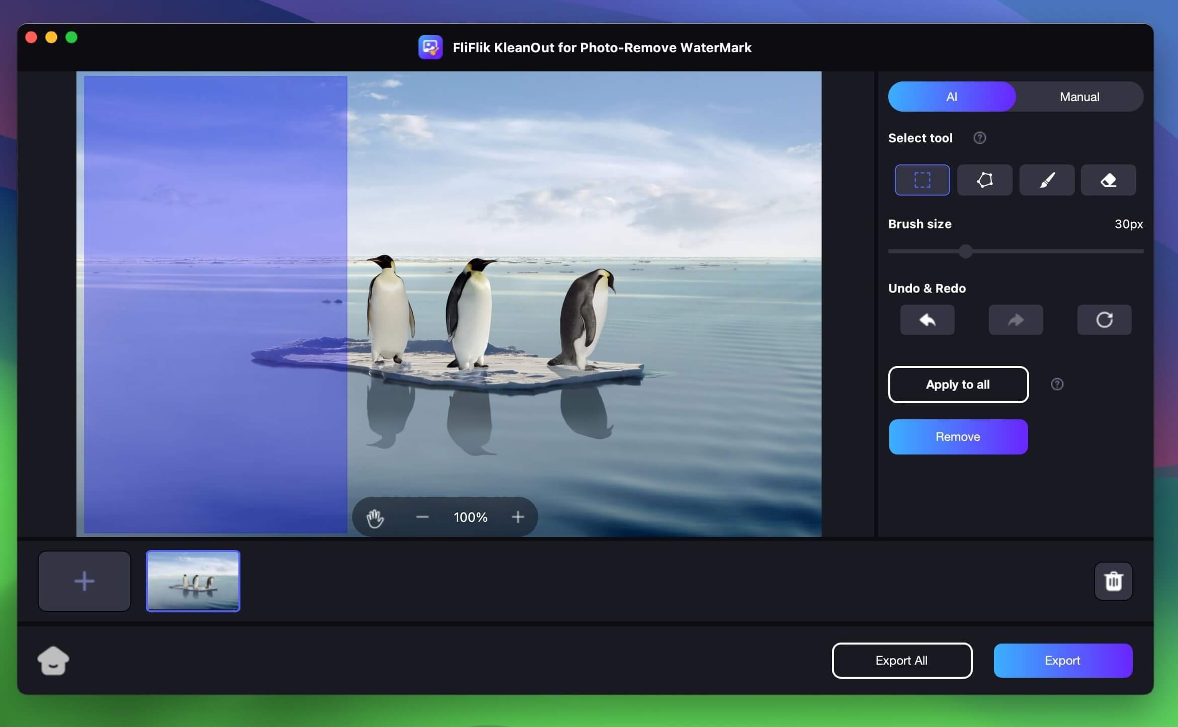 FliFlik KleanOut for Photo 6.3.0 screenshot