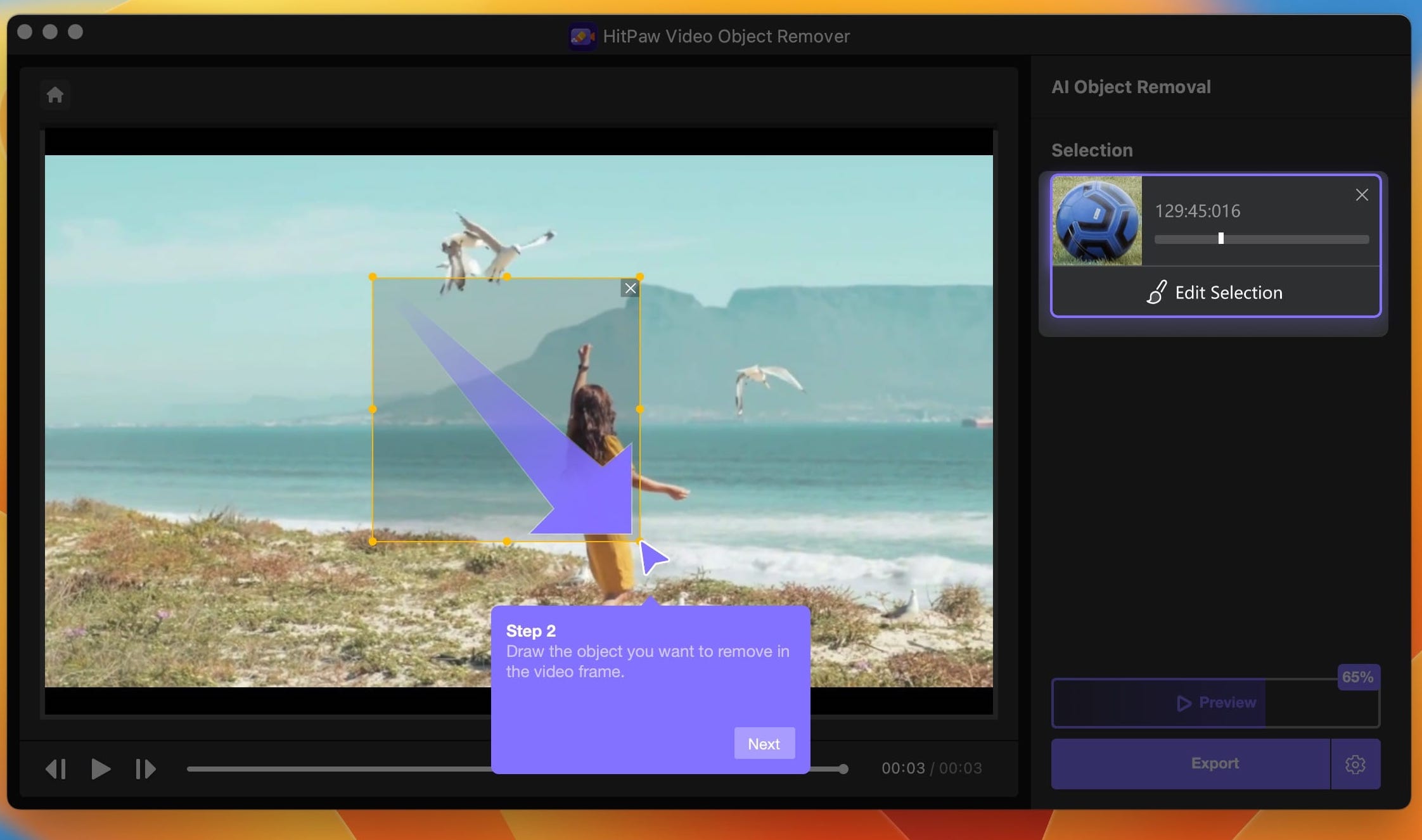 HitPaw Video Object Remover 1.2.0 screenshot