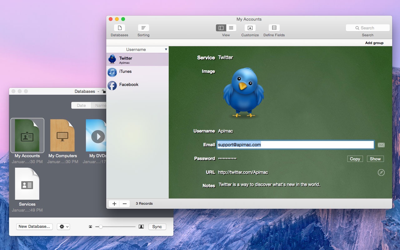 iDatabase 3.25 – Organize all your information and data. screenshot