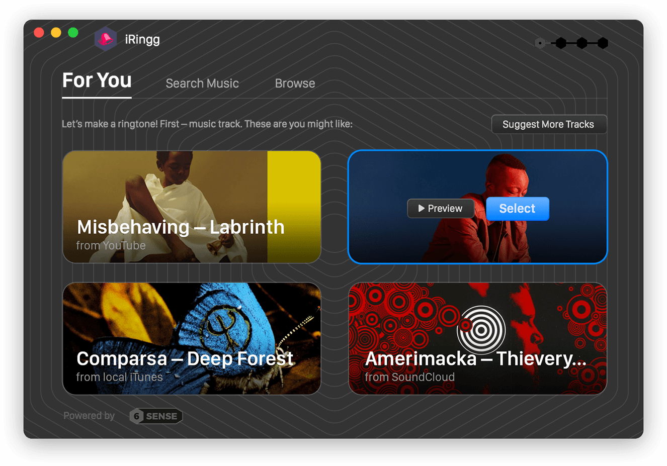 iRingg 4.0.16 screenshot