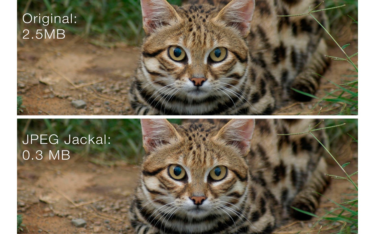 JPEG Jackal Pro 2.1 screenshot