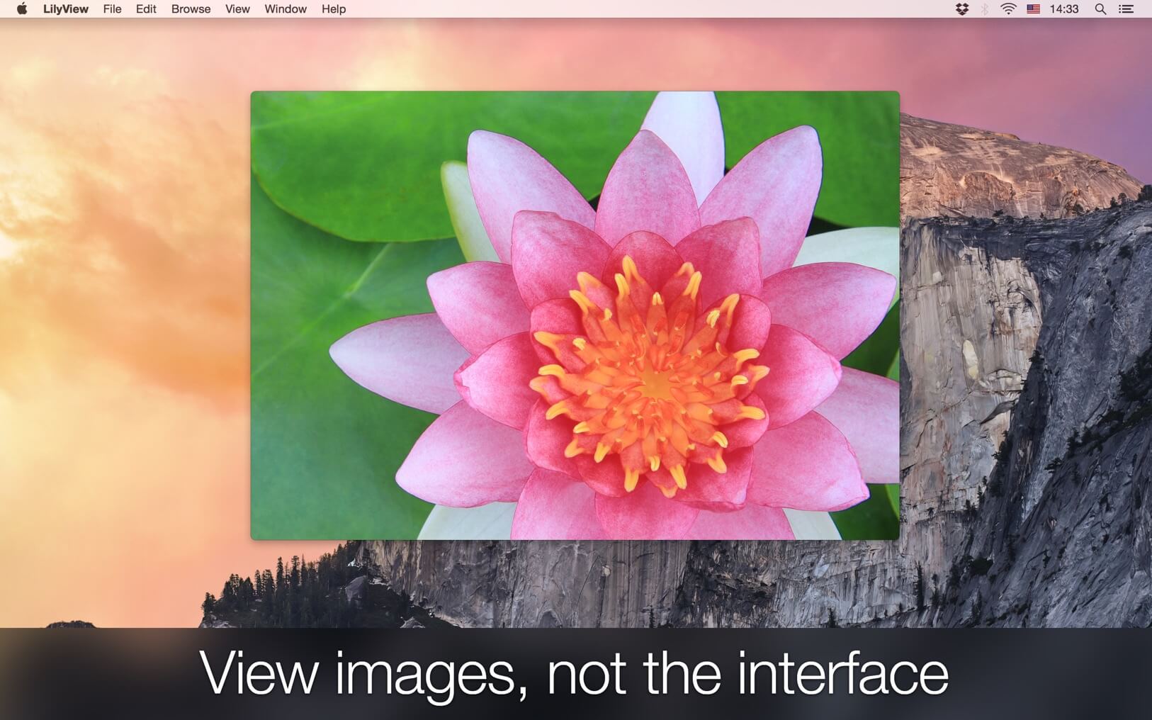 LilyView 1.6.0 screenshot