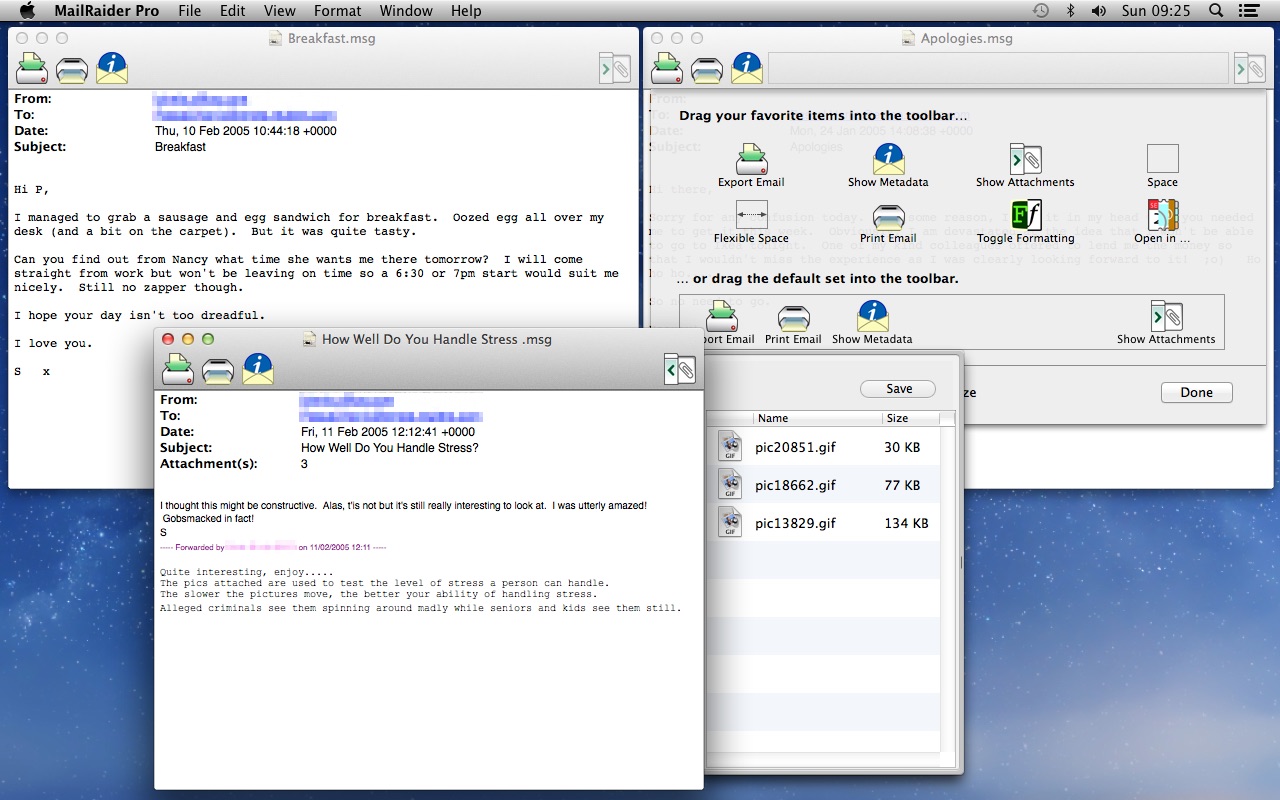 MailRaider Pro 3.69 screenshot