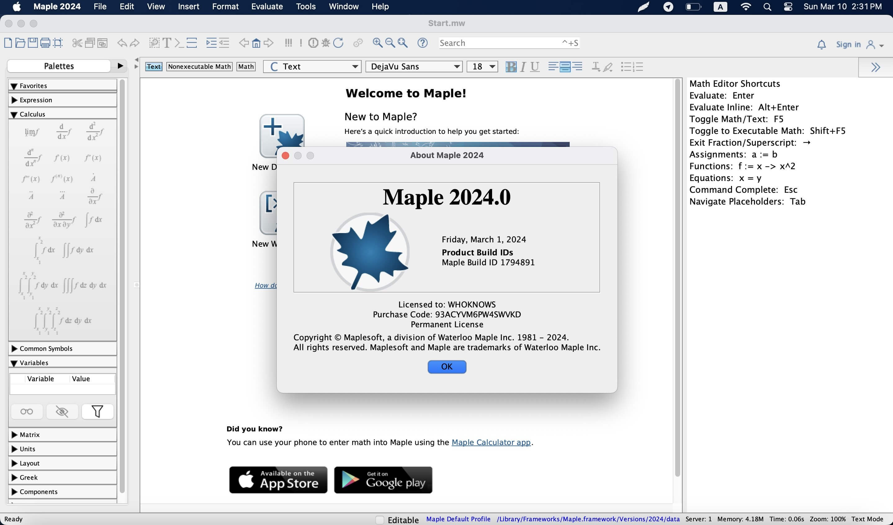 Maple 2024 screenshot