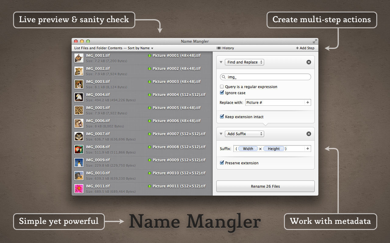 Name Mangler 3.4.1 – Easy-to-use batch file re-namer. screenshot