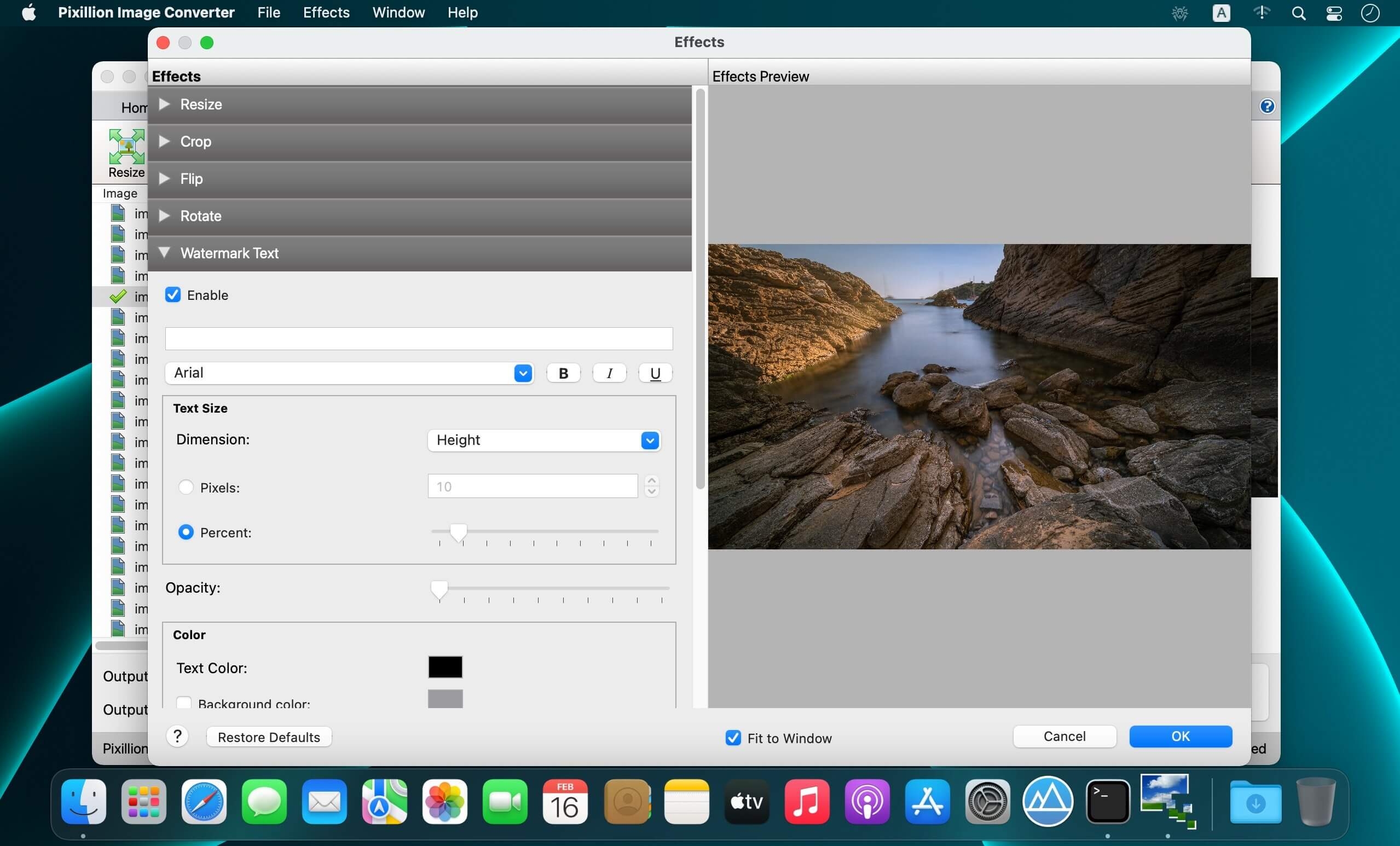 NCH Pixillion Image Converter Plus 8.59 screenshot