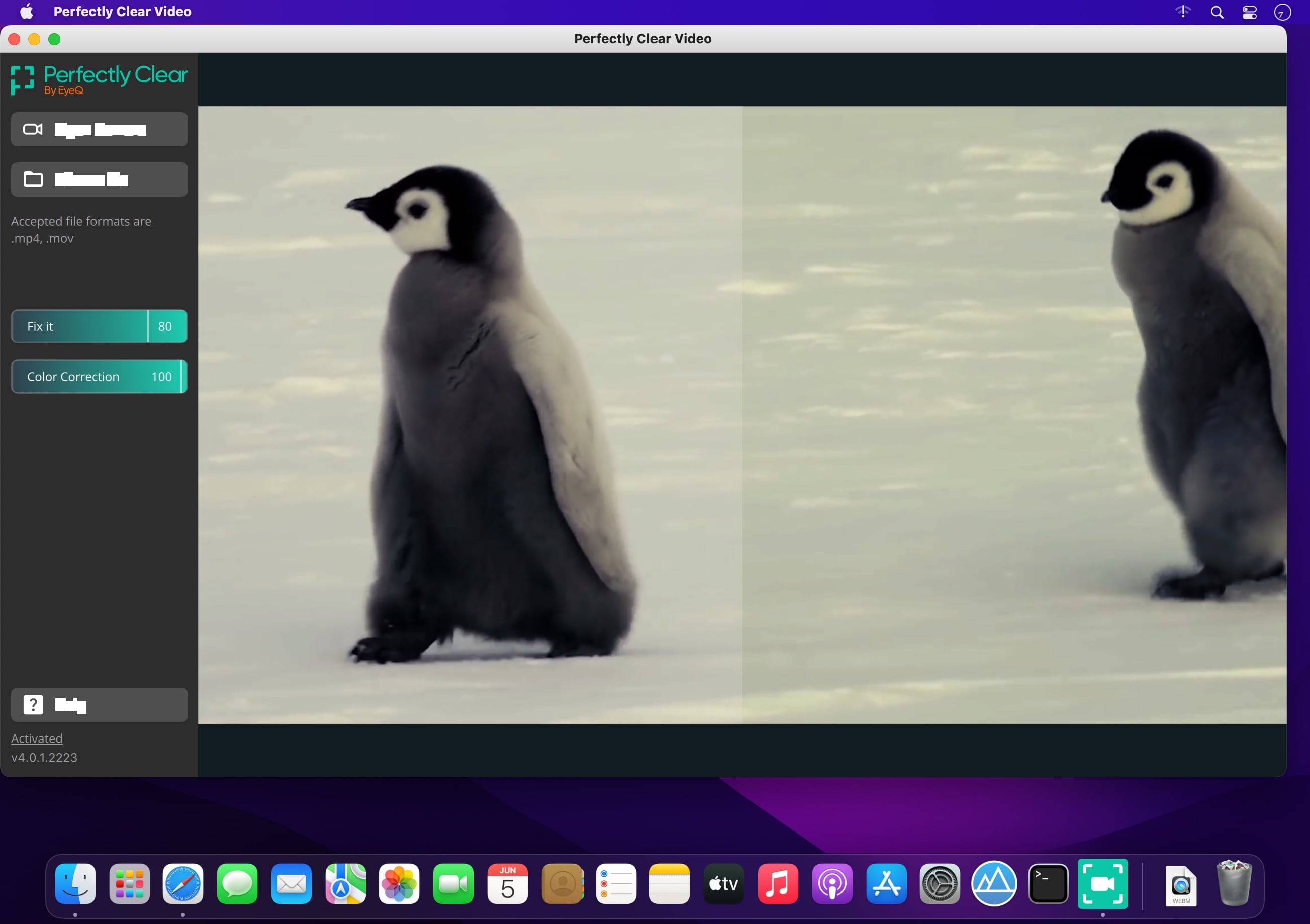 Perfectly Clear Video 4.6.1.2701 screenshot