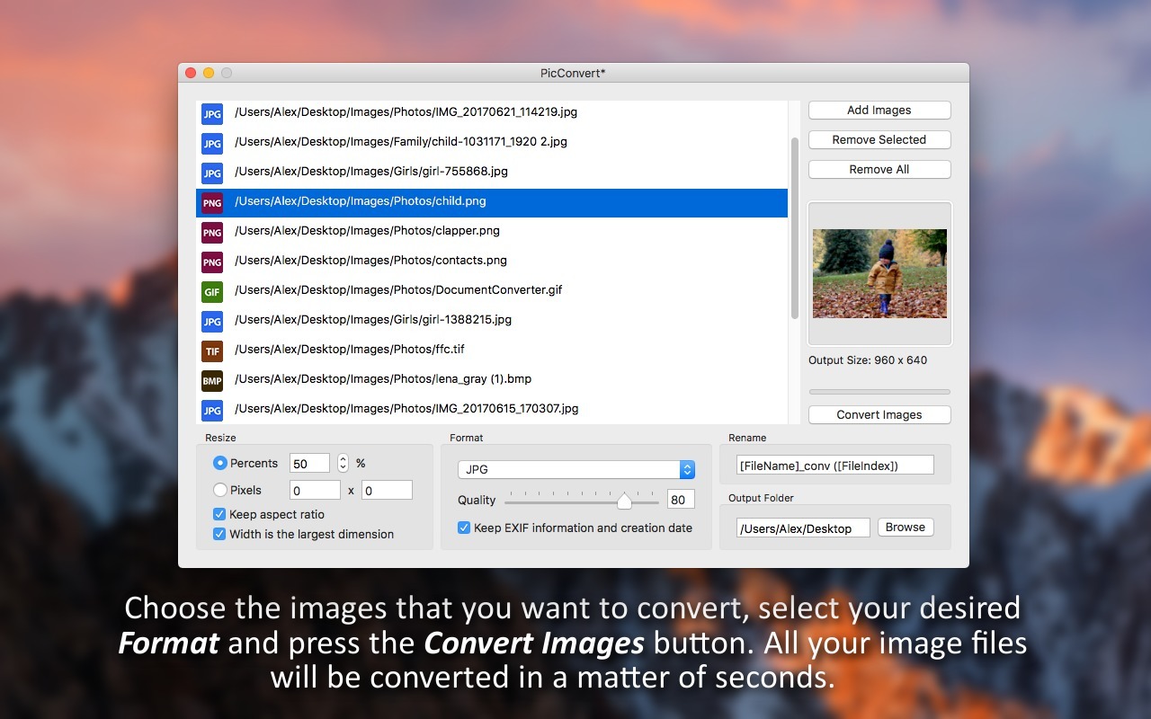 PicConvert 1.3 screenshot