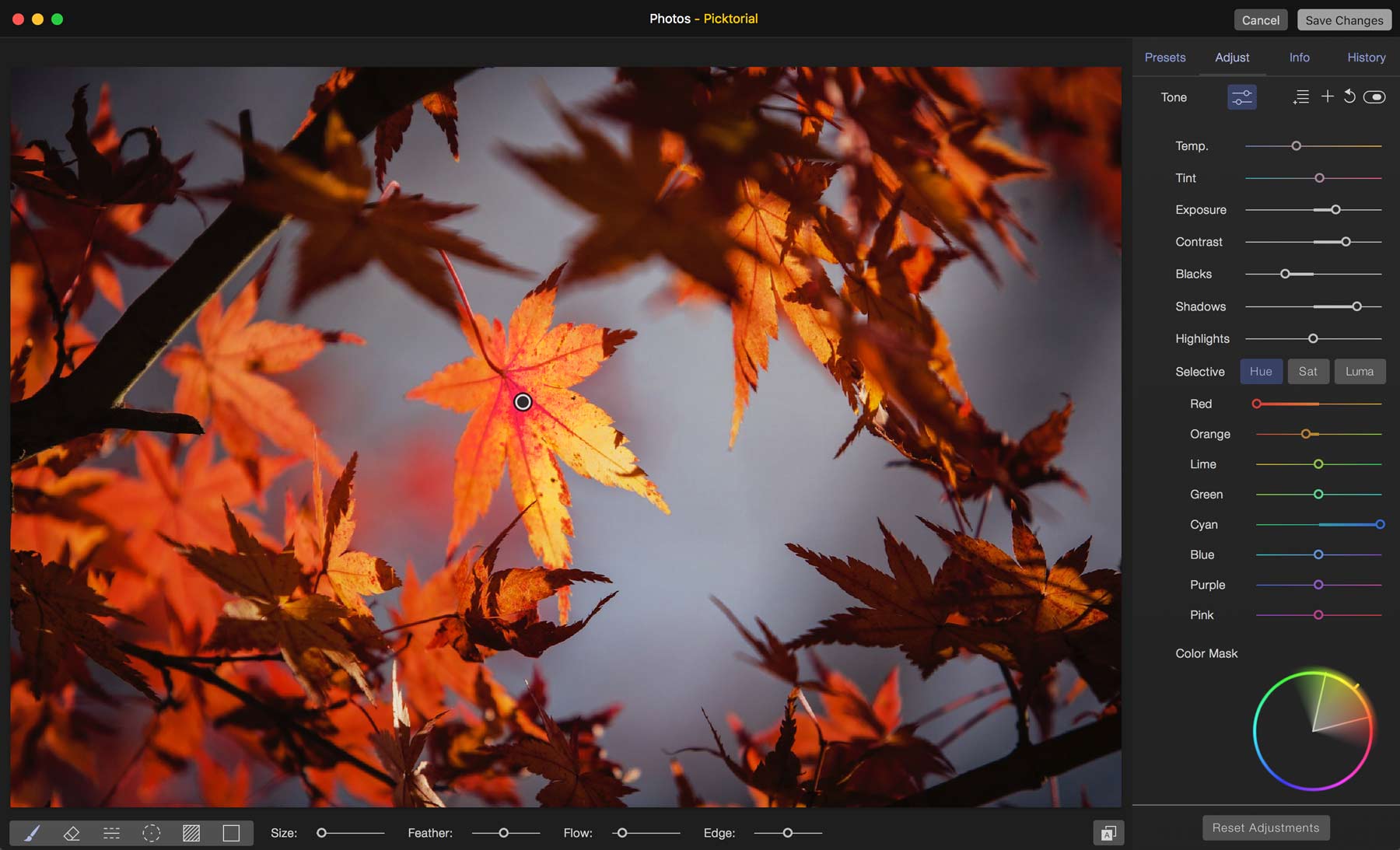 Picktorial 3.0.6 – Non-destructive photo editor. screenshot