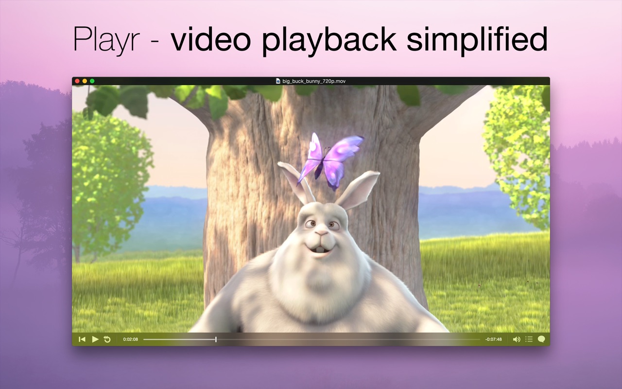 Playr 2.7 screenshot