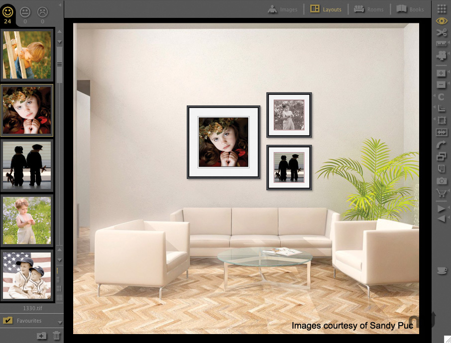 ProSelect Pro 2018 1.11 – Pro photography presentation and sales package. screenshot