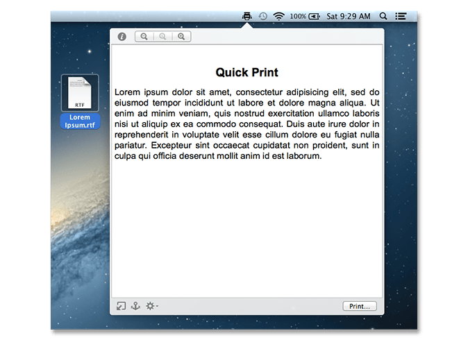 Quick Print 1.0.10 screenshot
