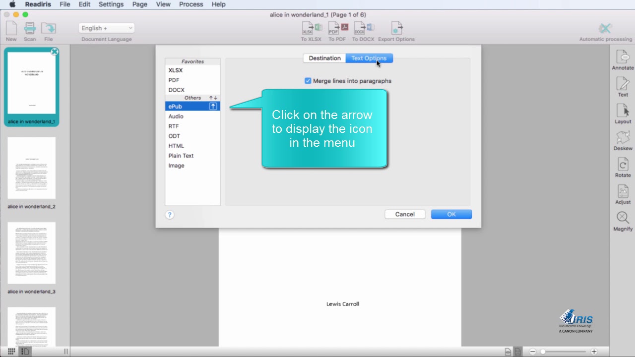 Readiris Pro 17.0.0 – Powerful, accurate OCR software. screenshot