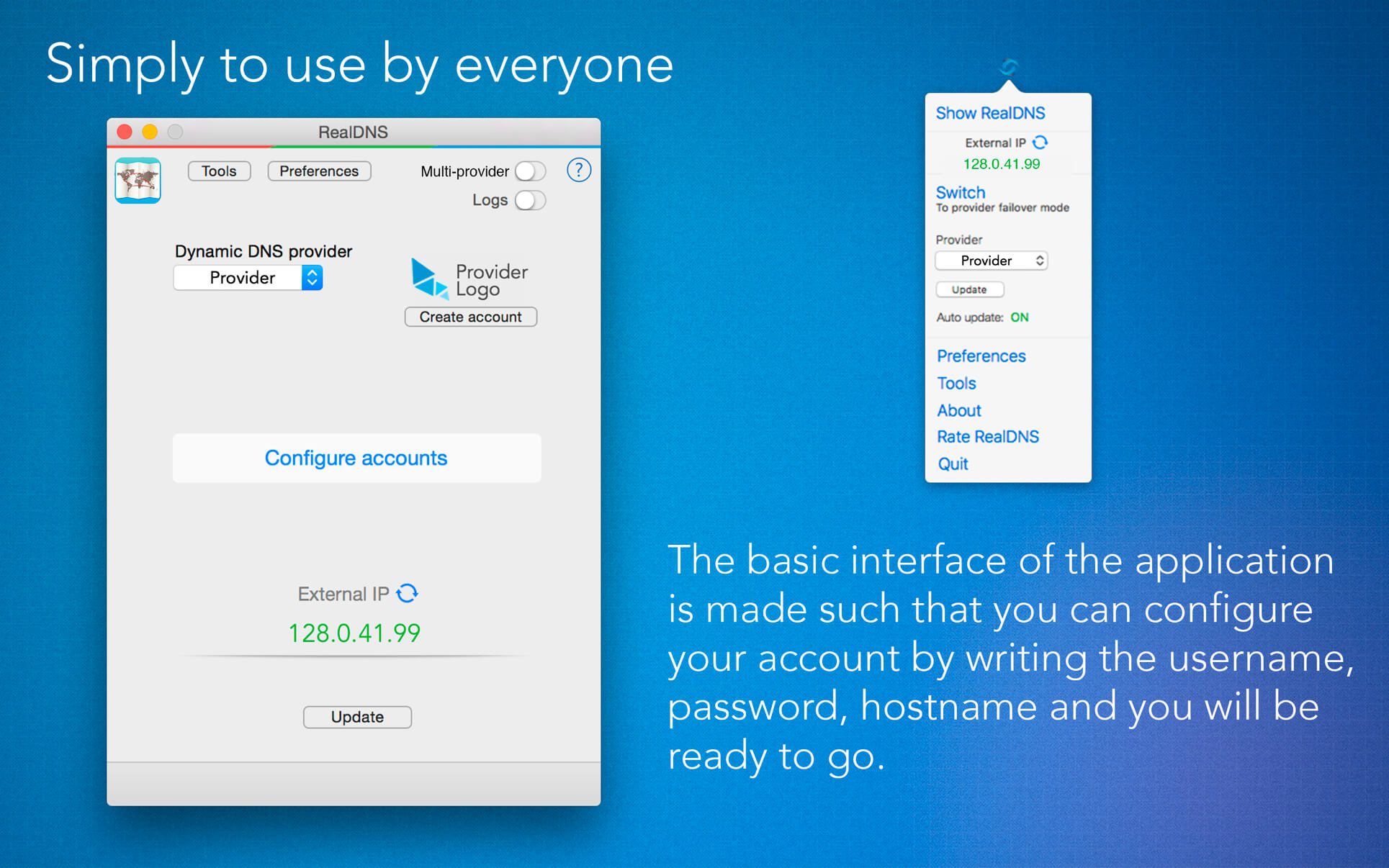 RealDNS 7.4.3 screenshot
