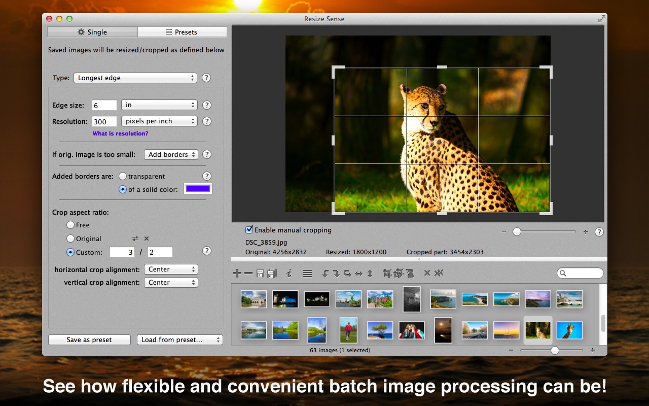 Resize Sense 2.3.3 screenshot