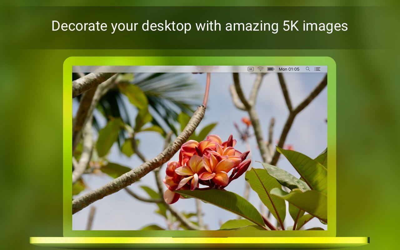 Retina 5K Wallpaper Set 3.4.1 screenshot