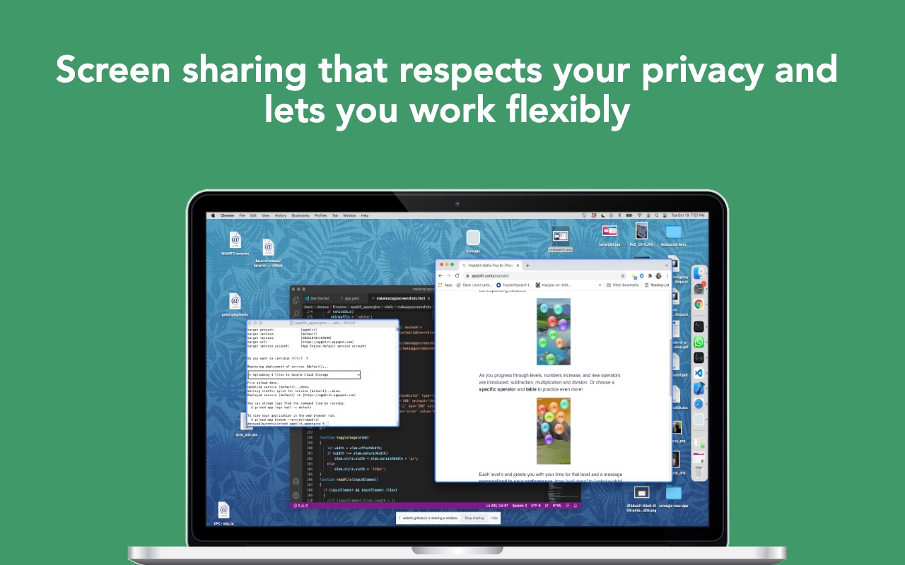 Screegle – Clean Screen Sharing 2.2.4 screenshot