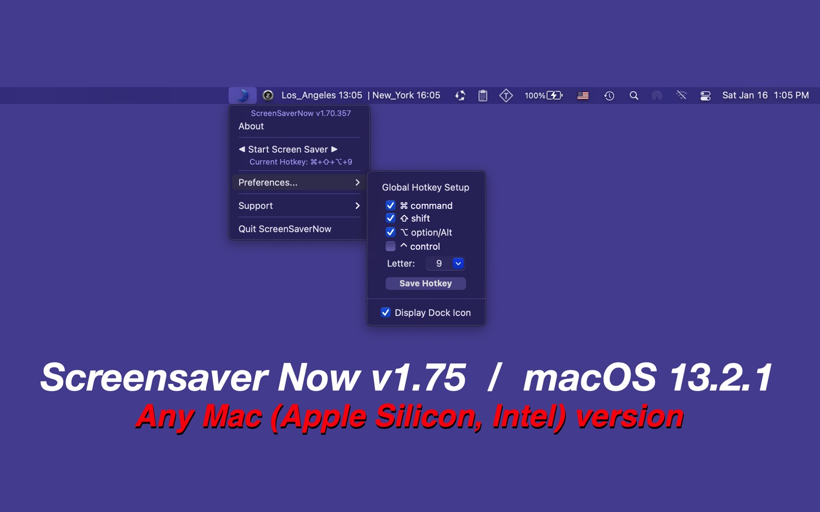 ScreenSaver Now 1.75 screenshot
