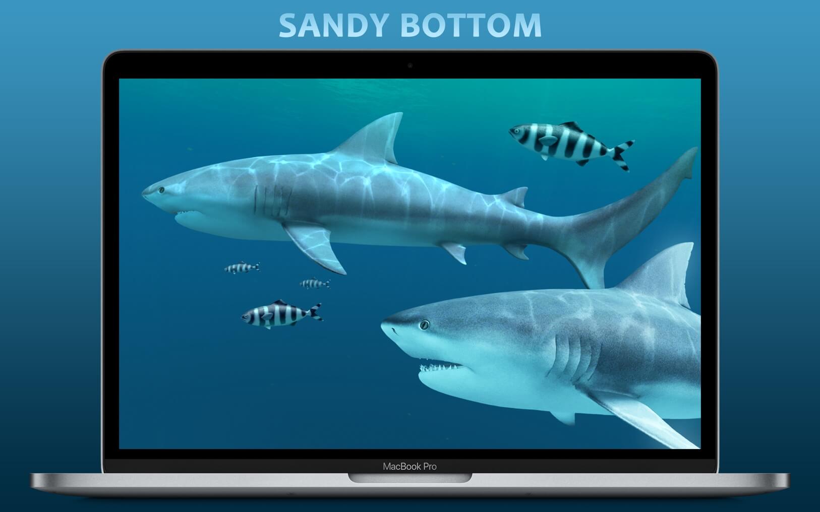 Sharks 3D 1.3.0 – 3D live shark wallpaper. screenshot