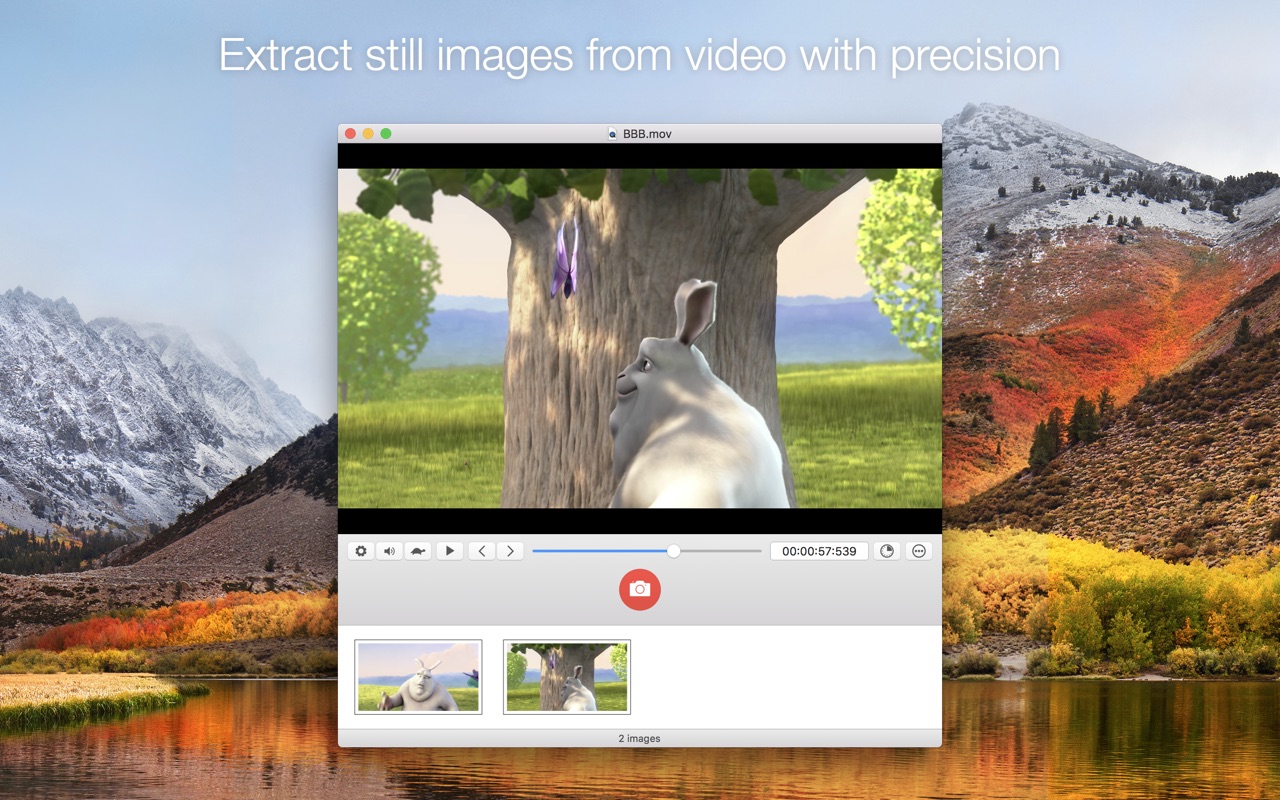 SnapMotion 5.3.0 screenshot
