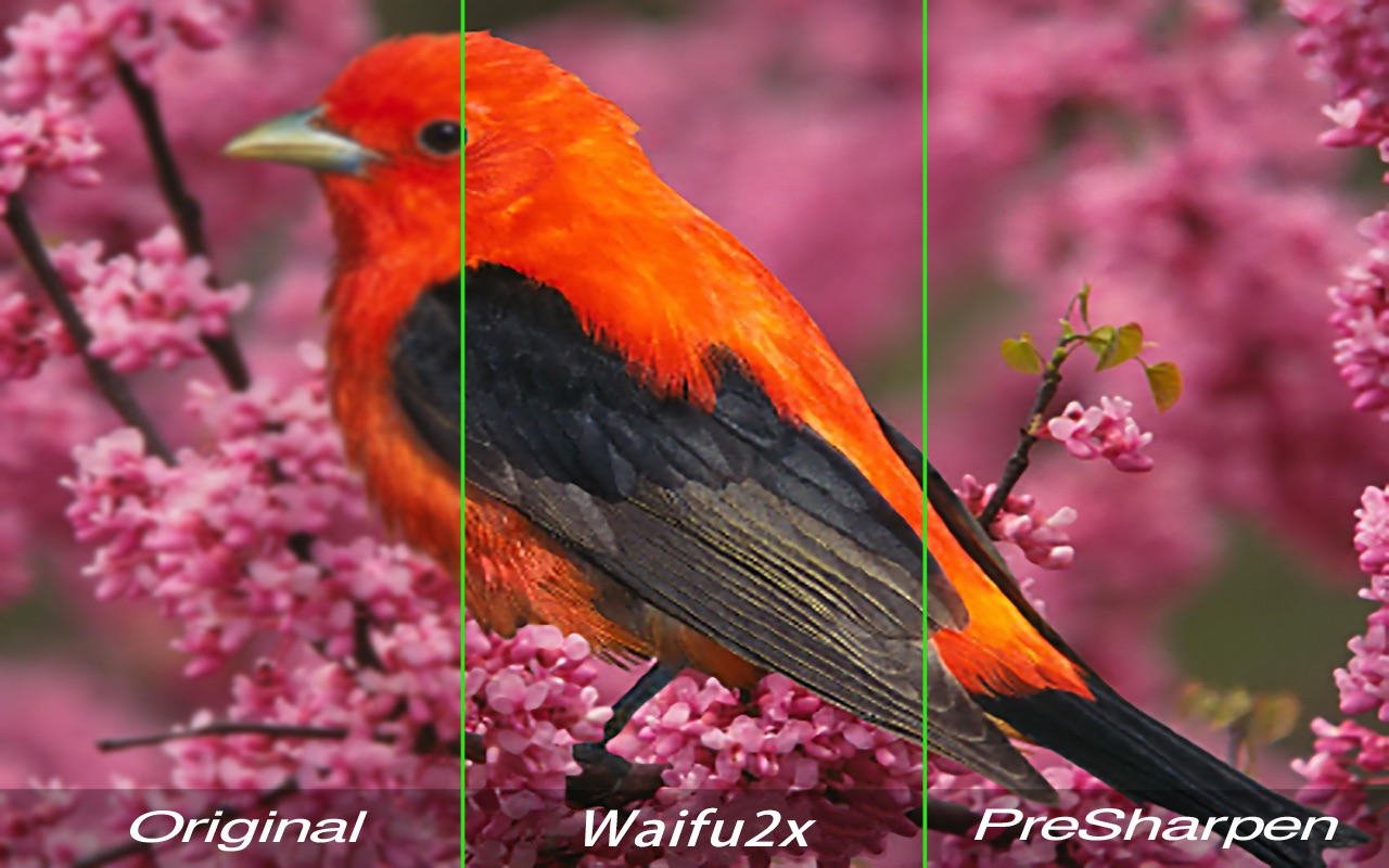Super Photo Upscaler 2.0.0 screenshot