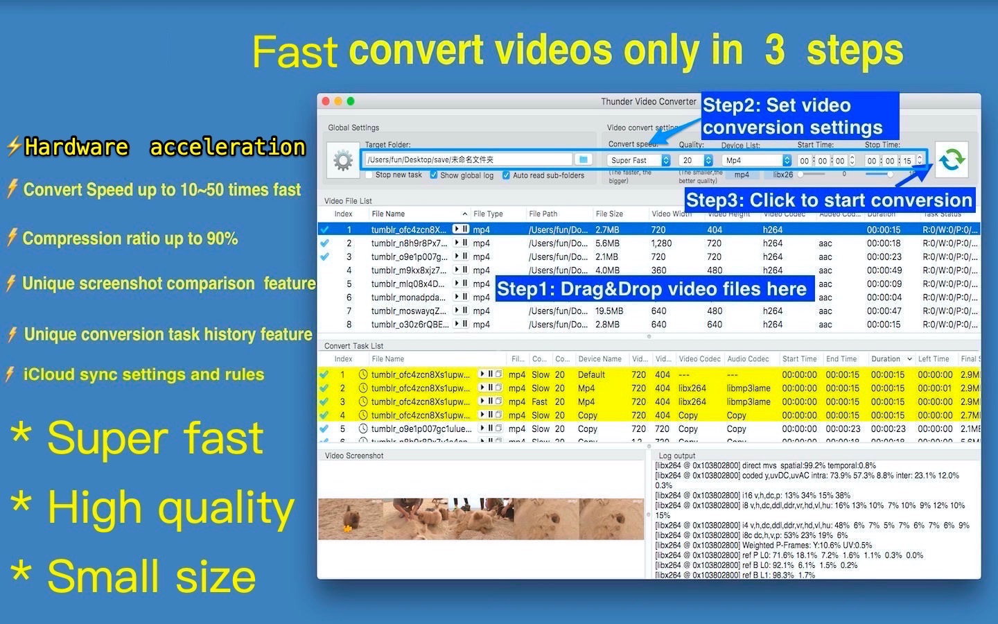 Thunder Video Converter Pro 5.6 screenshot