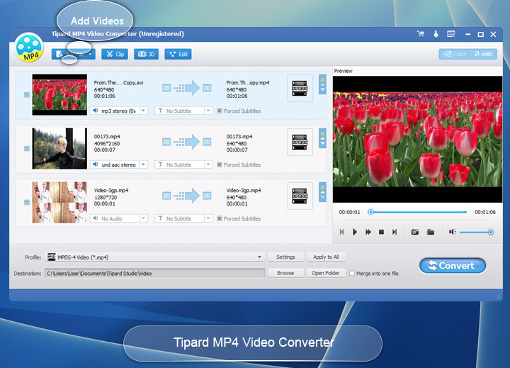 Tipard MP4 Video Converter 9.1.16 – Convert any video formats include YouTube video to MP4. screenshot