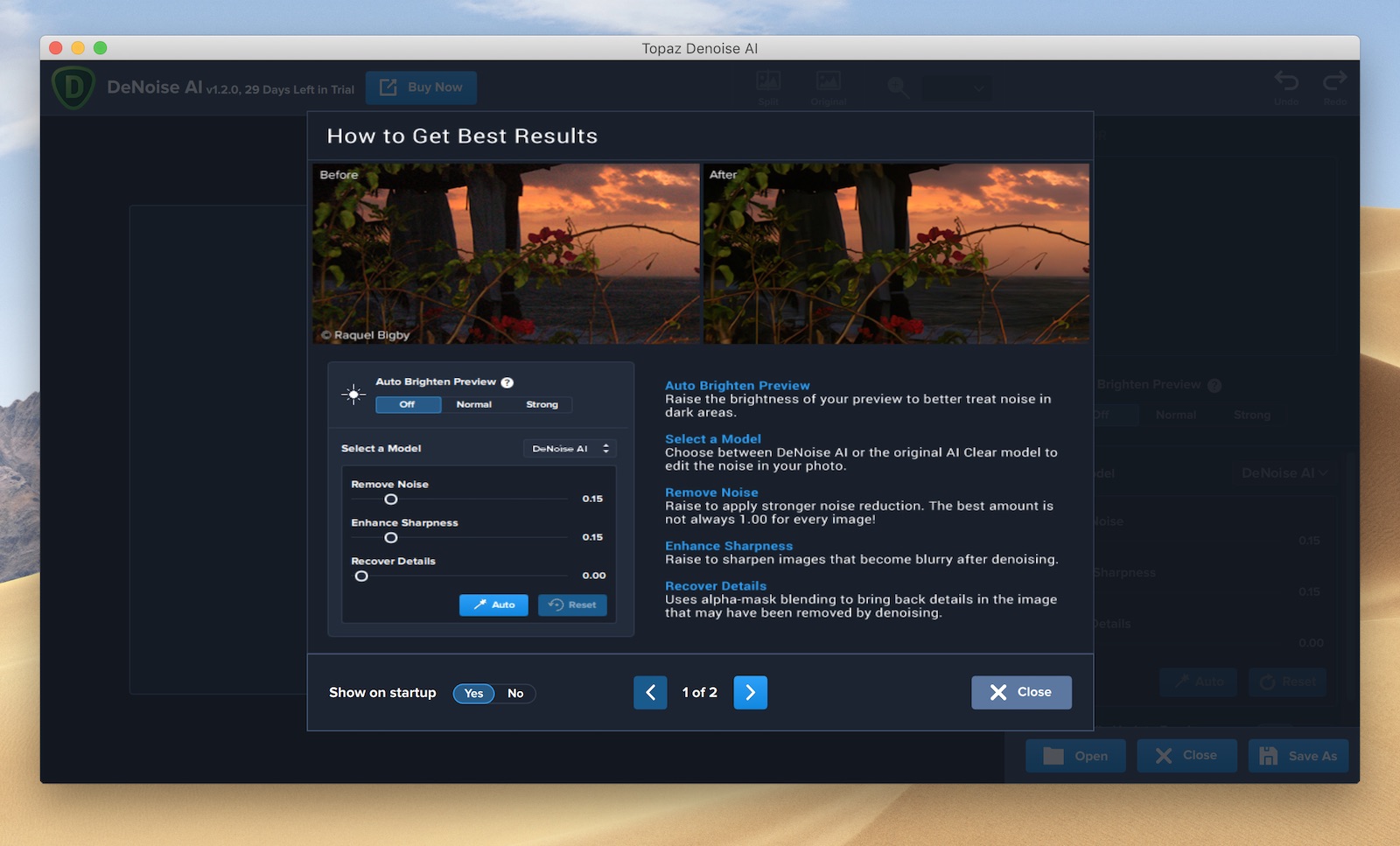 Topaz DeNoise AI 1.2.0 screenshot