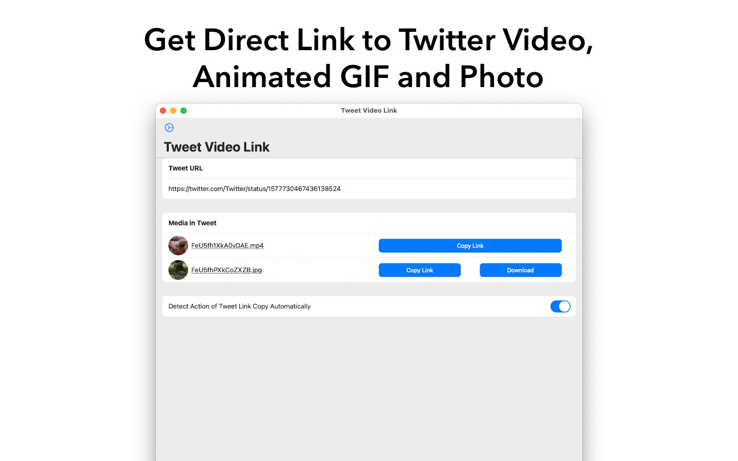 Tweet Video Link for Twitter 1.0 screenshot
