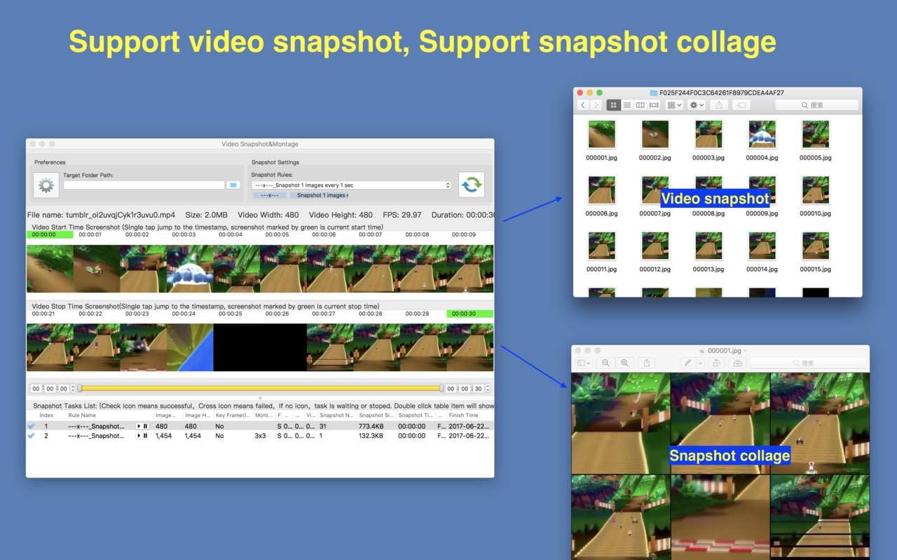 Video Snapshot&Collage 2.8 screenshot