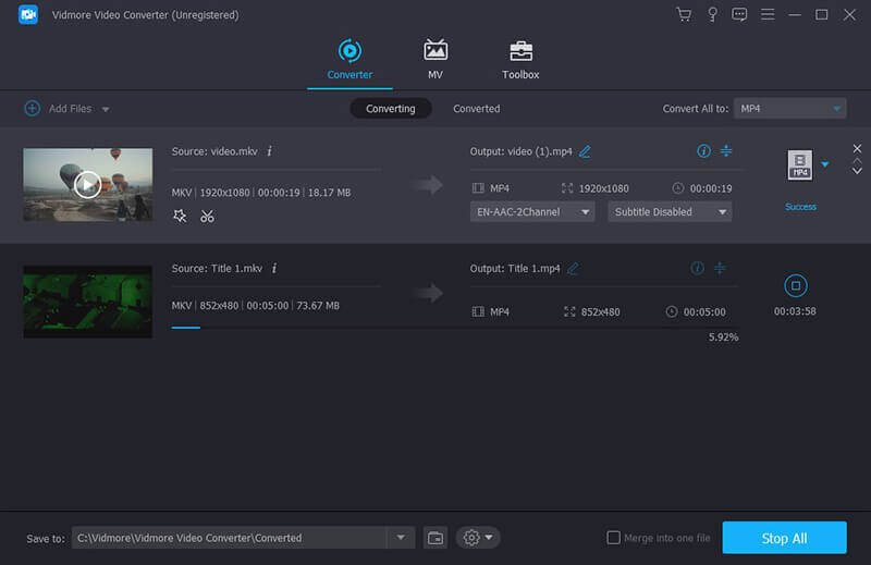 Vidmore DVD Monster 1.0.22 screenshot