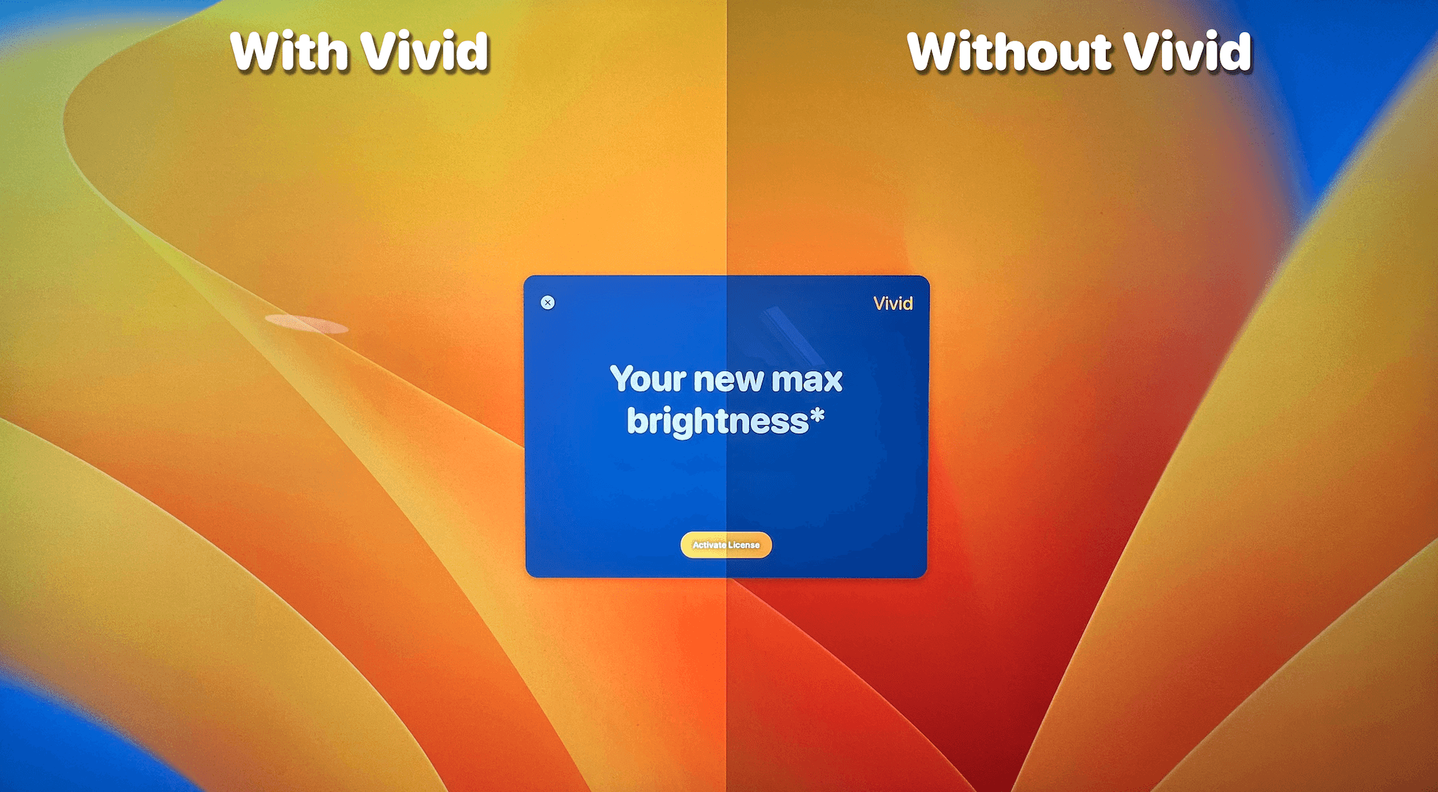 Vivid 2.9.1 screenshot