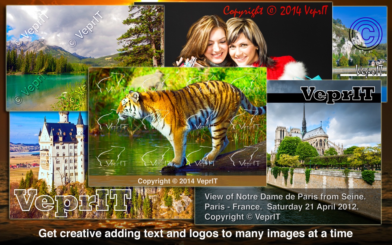 Watermark Sense 1.4.4 screenshot