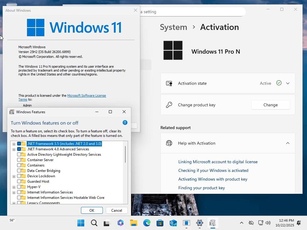 Windows 11 25H2 (No TPM Required) & Windows 10 22H2 AIO 32in1 Preactivated Multilingual October 2025 ekran görüntüsü